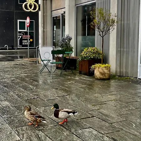 Modern New Yorker Style In Heart Of Lejlighed